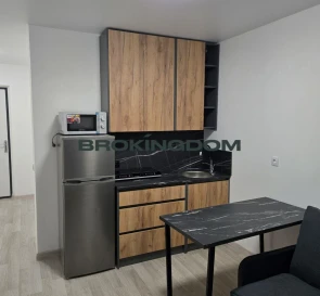 Photo 2. One-Room flat, for sale. Novosilky Дарницкий