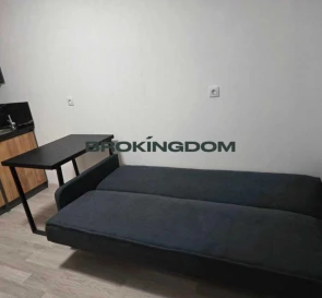 Photo 3. One-Room flat, for sale. Novosilky Дарницкий