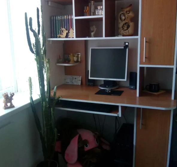 Photo 1. One-Room flat, to rent. Poltava Подольский