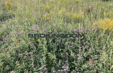 Foto Terreno, en venta. Roslavychi