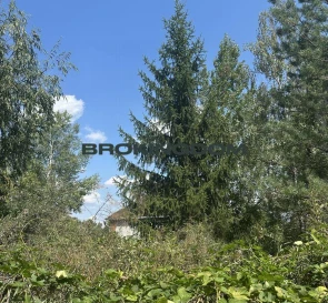 Photo 5. Lot, for sale. Kyiv Дарницкий