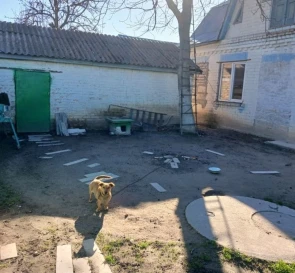 Foto 2. Casa, en venta. Velyka Dymerka