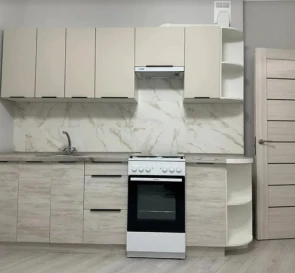 Photo 3. One-Room flat, to rent. Kyiv Дарницкий