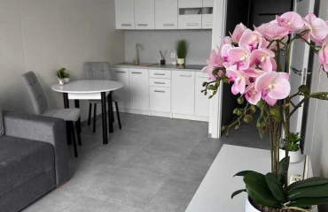 Photo One-Room flat, to rent. Kyiv Дарницкий