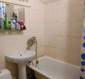 Photo 5. One-Room flat, for sale. Kyiv Голосеевский, Vasylkivska