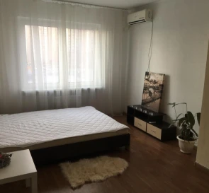 Photo 3. One-Room flat, to rent. Kyiv Дарницкий