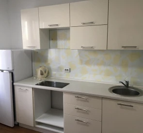 Photo 5. One-Room flat, to rent. Kyiv Дарницкий