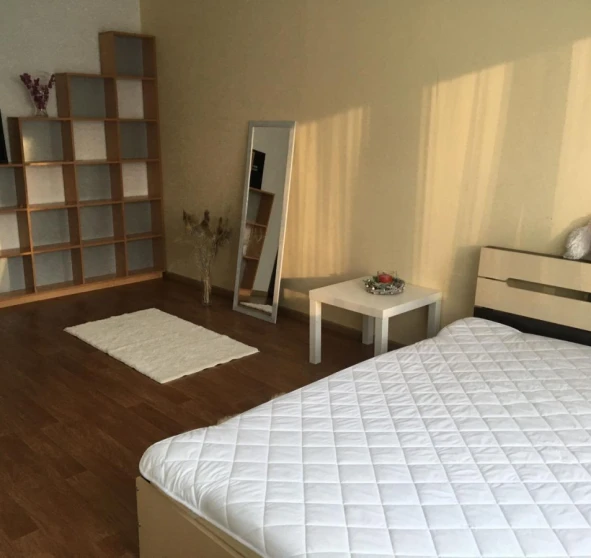 Photo 1. One-Room flat, to rent. Kyiv Дарницкий