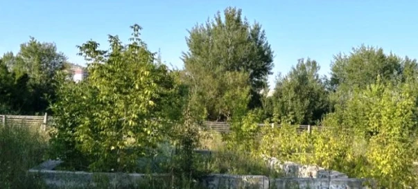 Photo 2. Lot, for sale. Zhytomyr Богунія