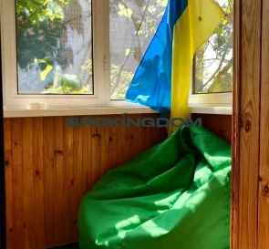 Photo 5. One-Room flat, for sale. Kyiv Голосеевский