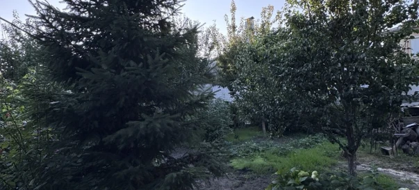Photo 3. House, for sale. Zhytomyr Центр