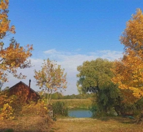 Фото 3. Будинок, продаж. Біївці