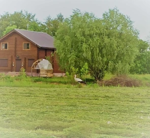 Foto 2. Casa, en venta. Biivtsi