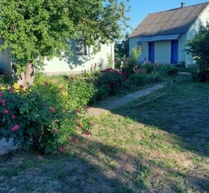 Фото 2. Будинок, продаж. Мала Сквирка