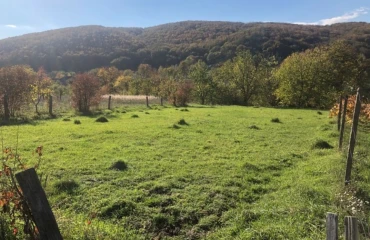 Zdjęcie Działka, na sprzedaż. Chynadiievo