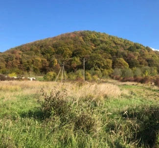 Zdjęcie 2. Działka, na sprzedaż. Chynadiievo