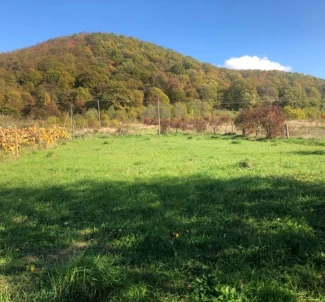 Zdjęcie 3. Działka, na sprzedaż. Chynadiievo