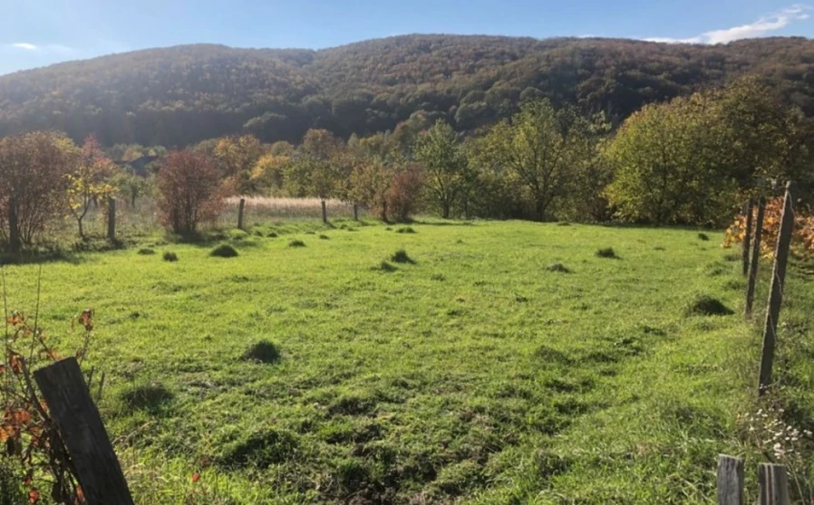 Zdjęcie 1. Działka, na sprzedaż. Chynadiievo
