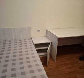 Photo 2. One-Room flat, to rent. Kyiv Дарницкий