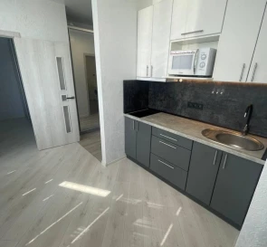 Foto 5. Monoambiente piso, para alquilar. Kyiv Дарницкий