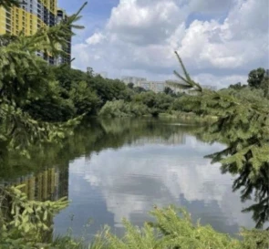 Zdjęcie 4. Trzypokojowe mieszkanie, na sprzedaż. Kyiv Соломенский