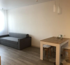 Foto 5. Monoambiente piso, para alquilar. Kyiv Дарницкий