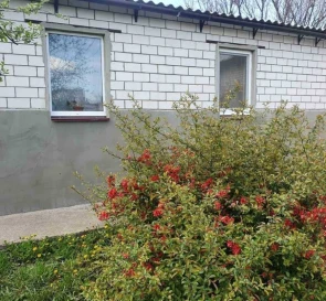Фото 3. Дом, продажа. Барышевка
