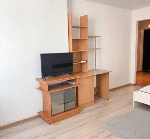 Photo 2. One-Room flat, to rent. Kyiv Дарницкий