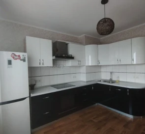 Photo 2. Three-Room flat, to rent. Kyiv Дарницкий