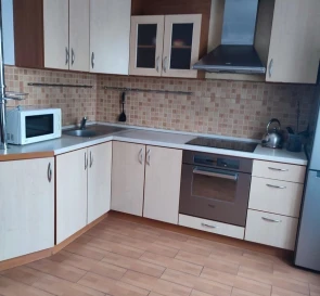 Photo 5. One-Room flat, to rent. Kyiv Дарницкий
