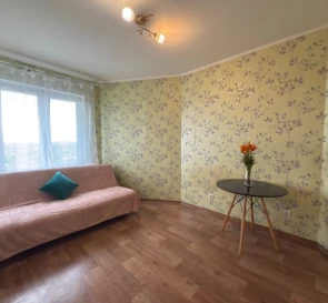 Photo 2. One-Room flat, for sale. Kyiv Дарницкий
