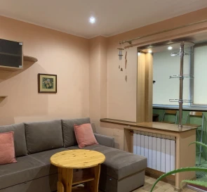 Photo 5. One-Room flat, for sale. Kyiv Дарницкий