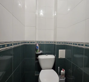 Photo 5. One-Room flat, for sale. Kyiv Дарницкий