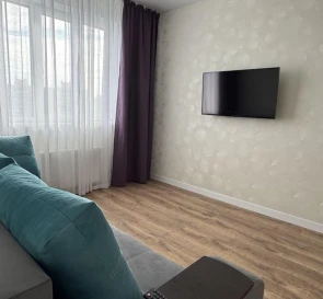 Photo 3. One-Room flat, to rent. Kyiv Дарницкий
