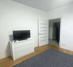 Photo 3. One-Room flat, to rent. Kyiv Днепровский