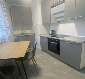 Photo 4. One-Room flat, to rent. Kyiv Днепровский