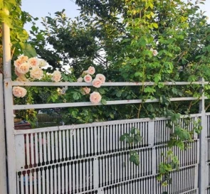 Photo 3. House, for sale. Baraboi
