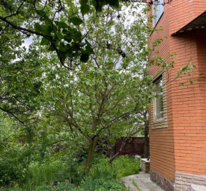 Фото 4. Дом, продажа.