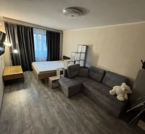 Photo 2. One-Room flat, for sale. Kyiv Подольский