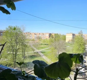 Photo 3. One-Room flat, to rent. Poltava Киевский