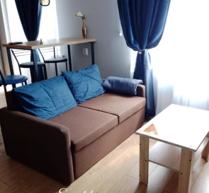 Photo 3. One-Room flat, to rent. Kyiv Дарницкий