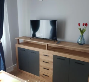 Photo 4. One-Room flat, to rent. Kyiv Дарницкий