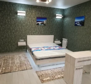 Photo 3. One-Room flat, to rent. Poltava Шевченковский (Октябрьский)