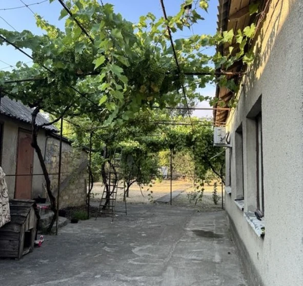 Photo 1. House, for sale. Artsyz