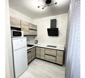 Фото 5. Однокомнатная квартира, продажа. Киев Голосеевский, Теремки