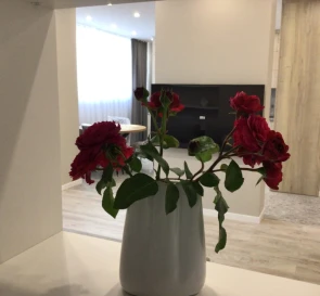 Fotografie 5. Trei Camere apartament, de închiriat. Kyiv Дарницкий район, Pozniaky