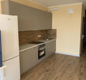 Photo 3. One-Room flat, to rent. Kyiv Дарницкий