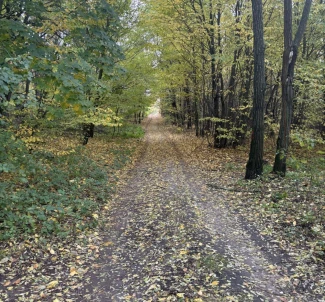 Zdjęcie 2. Działka, na sprzedaż. Zhytomyr Передмістя