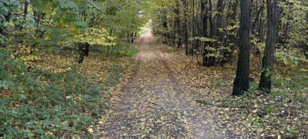 Фото 1. Участок, продажа. Житомир Передмістя