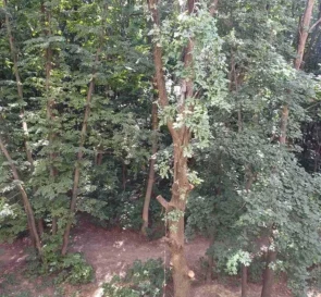 Фото 5. Однокімнатна квартира, оренда. Полтава Киевский